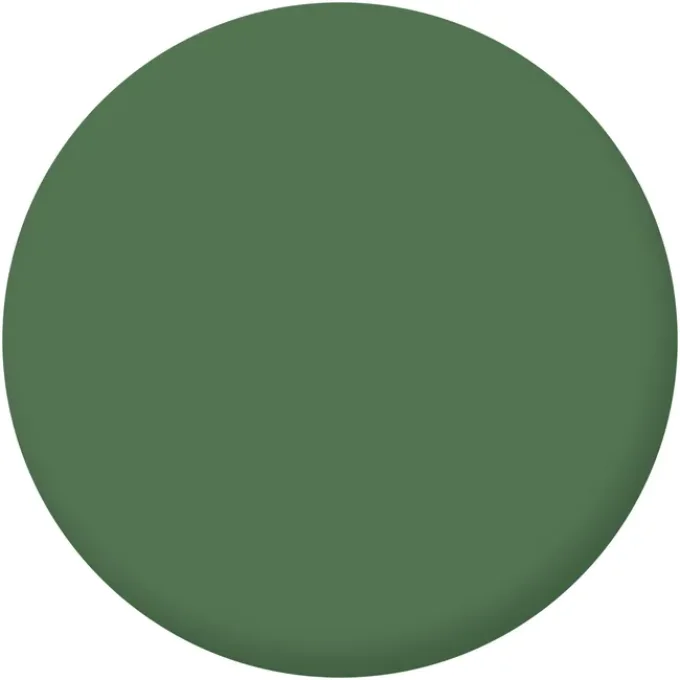 MARQUE PAGES CIGALE VERT BALI