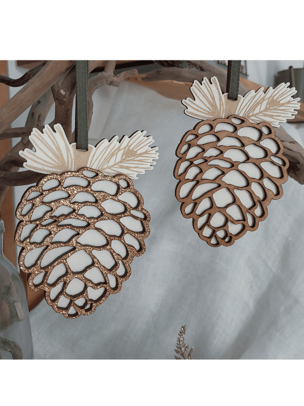 Série Fruit de la Nature - La Pomme de Pin