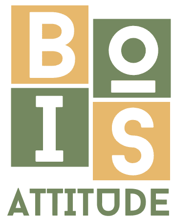 logo bois attitude